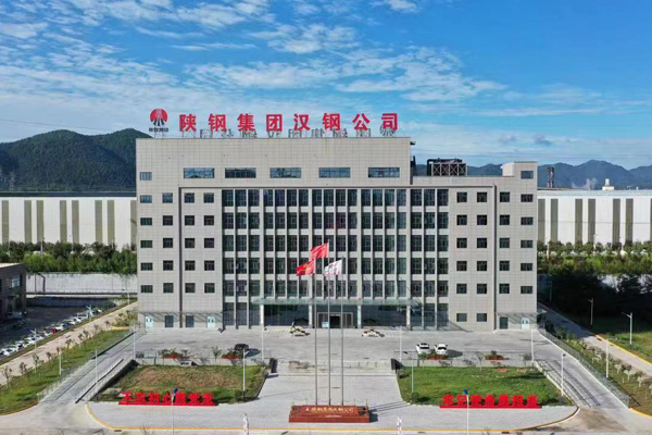 Shaanxi Iron and Steel Group